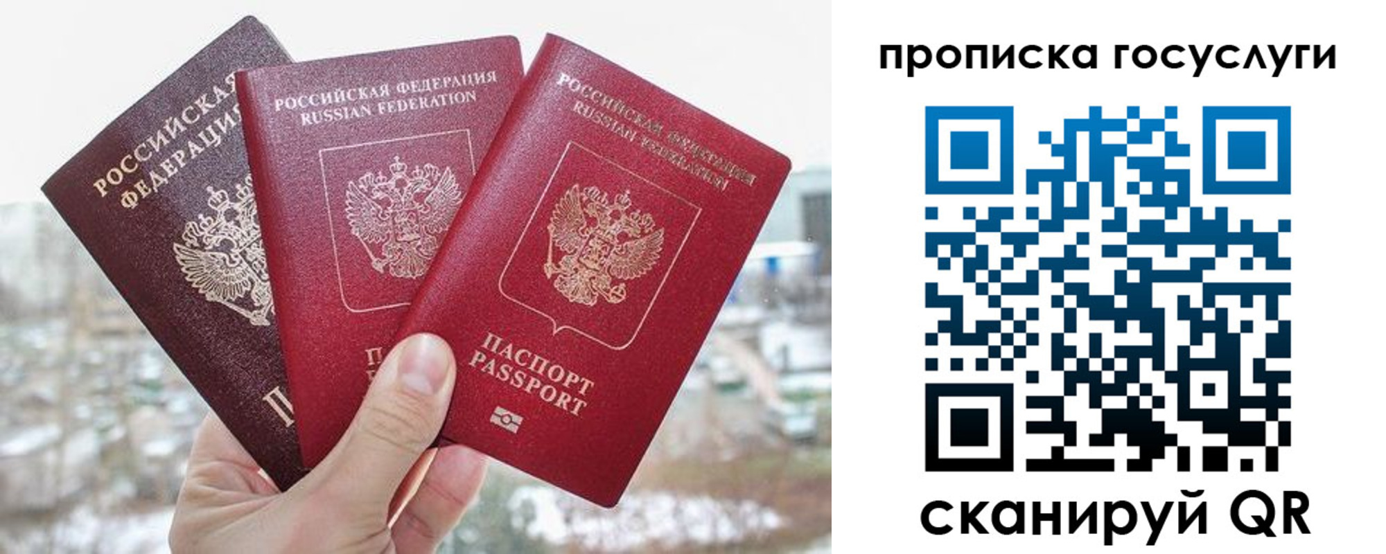 прописка законно в Читинской области
